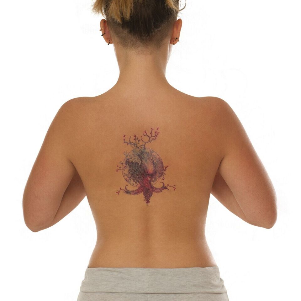 Geçici Anka Kuşu Dövme Tattoo